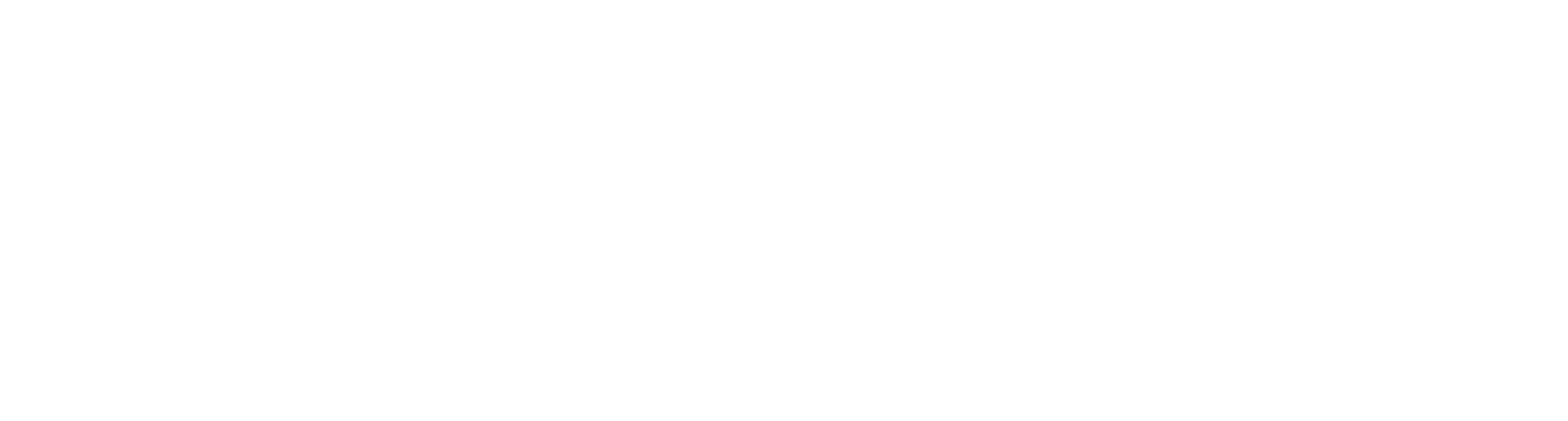 SierraVision